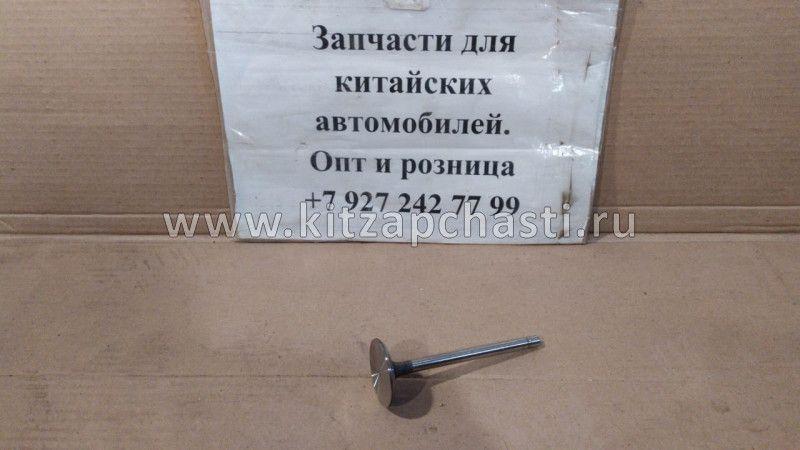 Клапан впускной BAW Fenix 33462 Евро 4 1007011X2